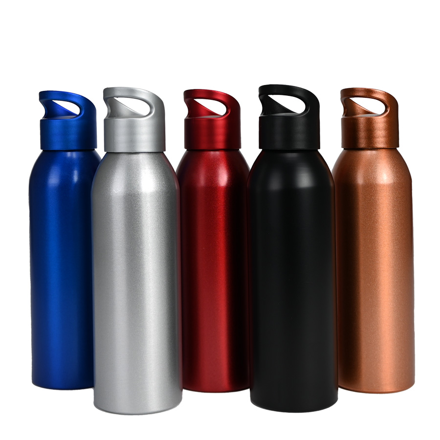 BOTELLA METALICA 650 CC